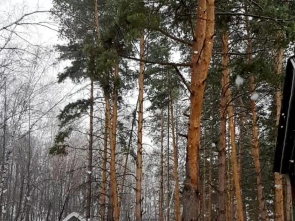 Алмаз