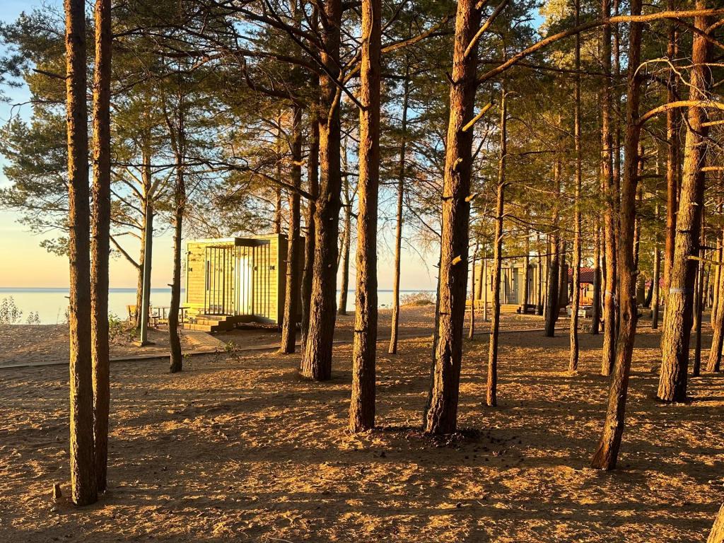 База Отдыха Командор