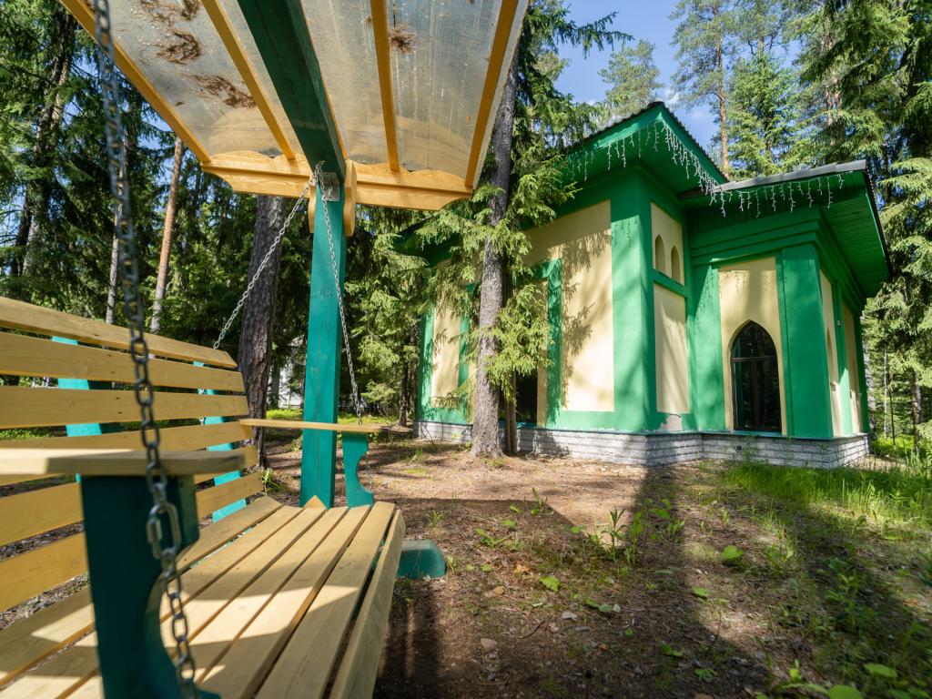 Шишки на Лампушке