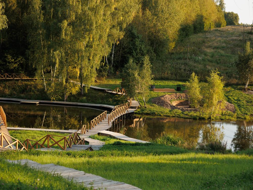 Заокские поля