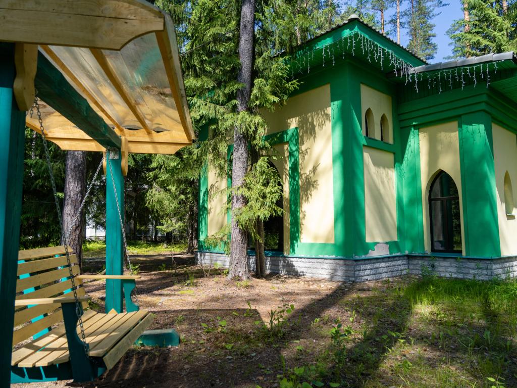 Шишки на Лампушке