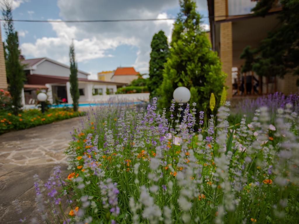 Усадьба Золотые ворота