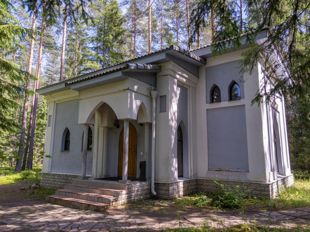 Шишки на Лампушке