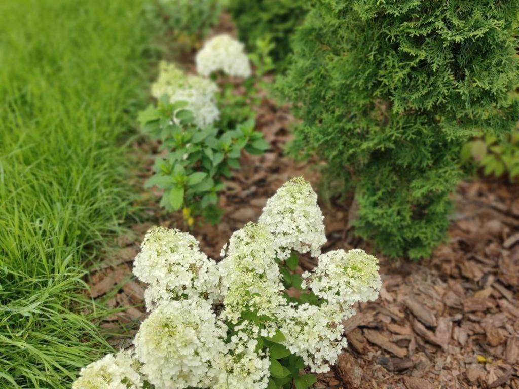 Добрый дом в Курилово