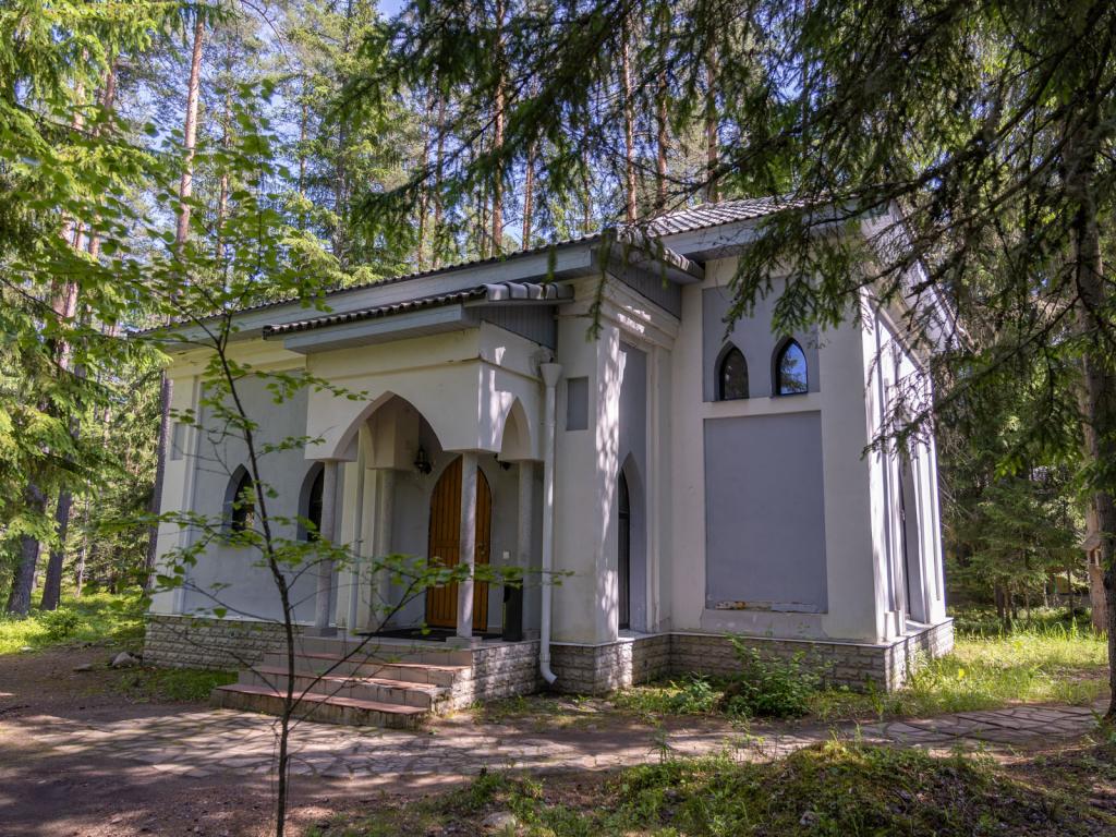 Шишки на Лампушке