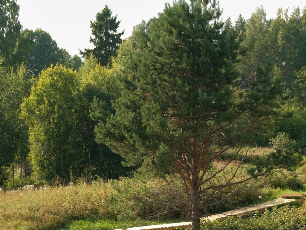 Marmar (Мармар)