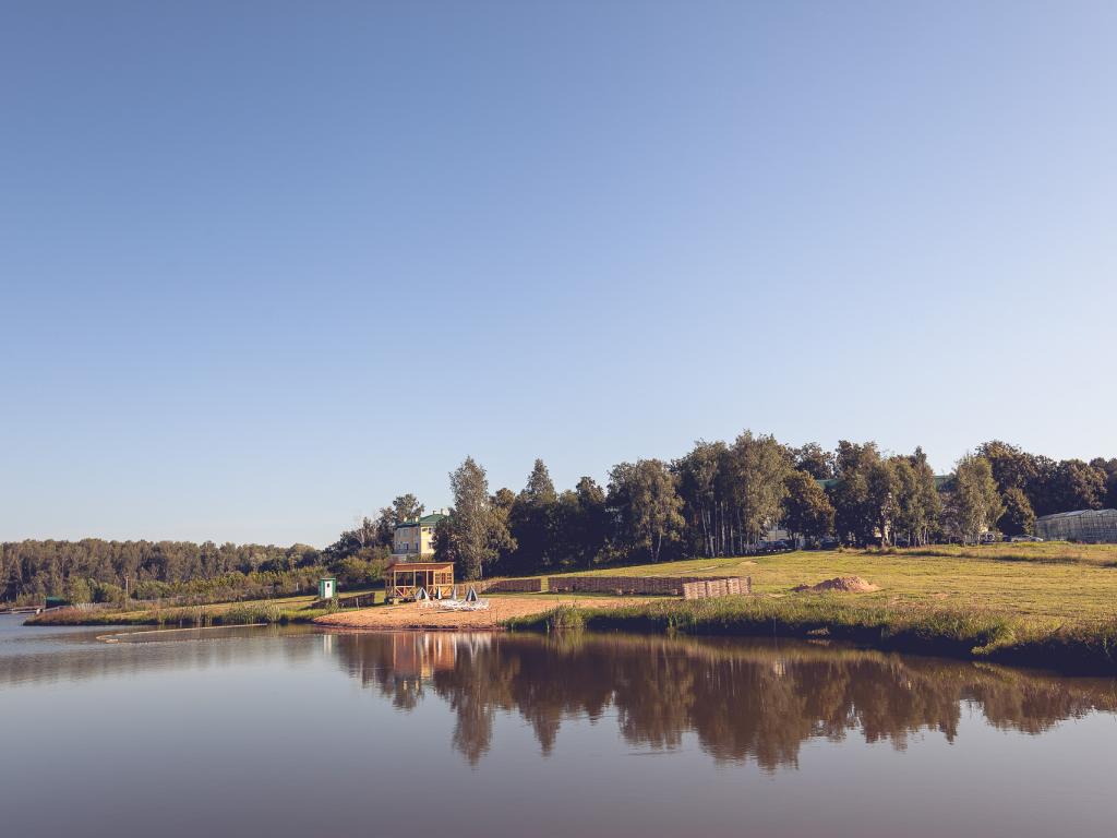 Лесное