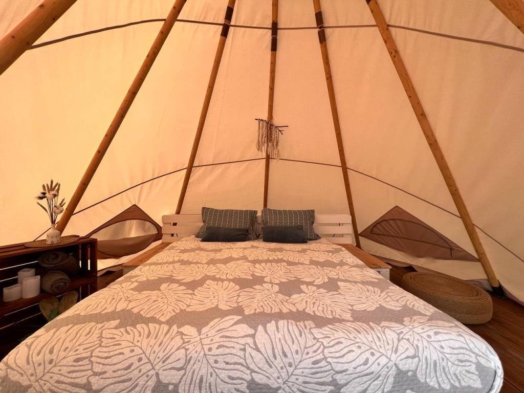 Ostrov camp (Остров Кемп)
