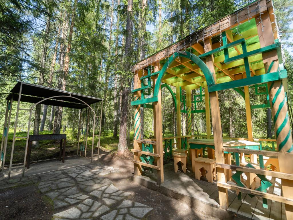 Шишки на Лампушке