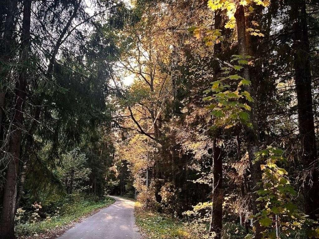 Дом в заповедной лесной зоне
