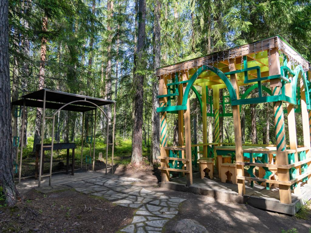 Шишки на Лампушке