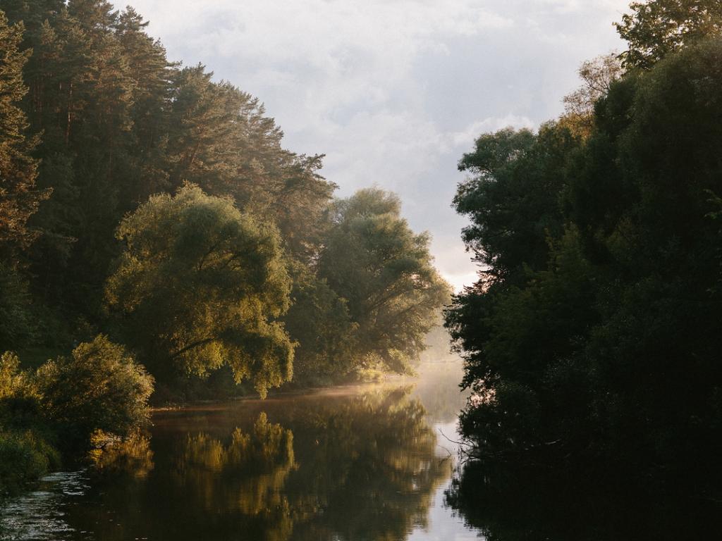 Загородный отель Pine River (Пайн Ривер)
