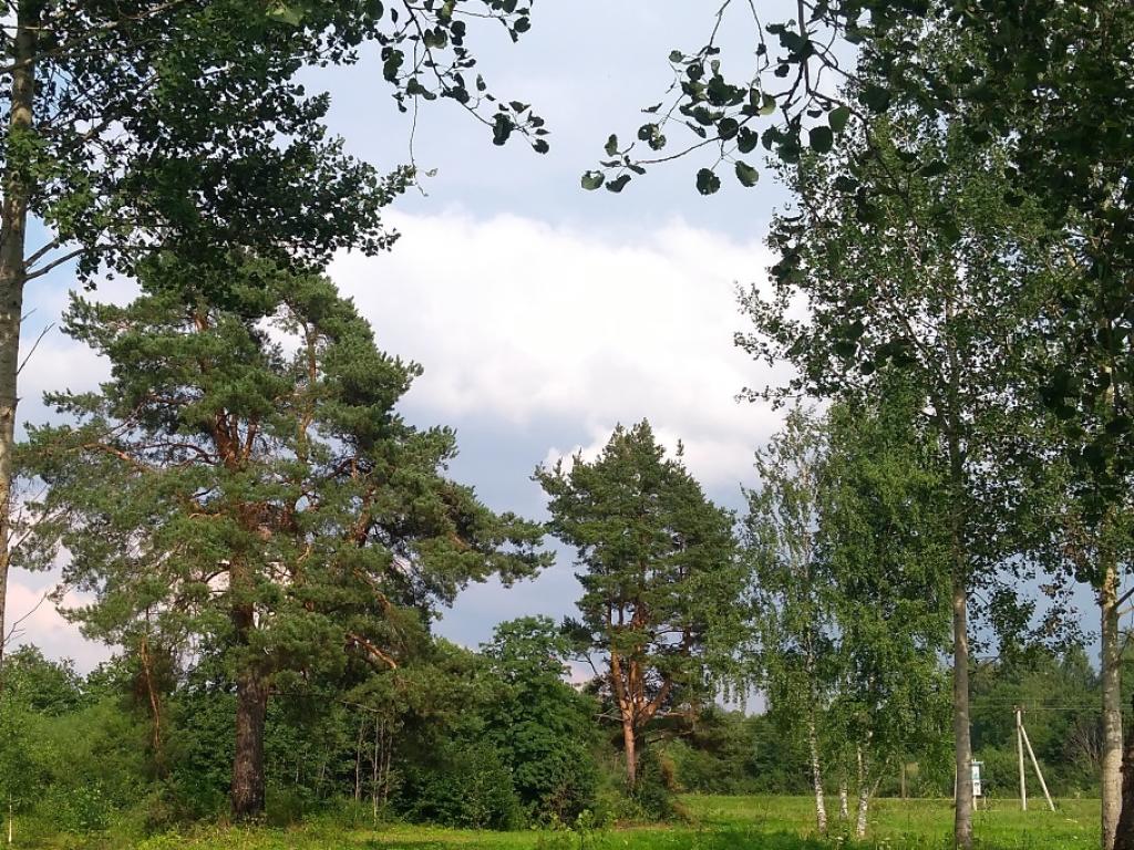 Престиж