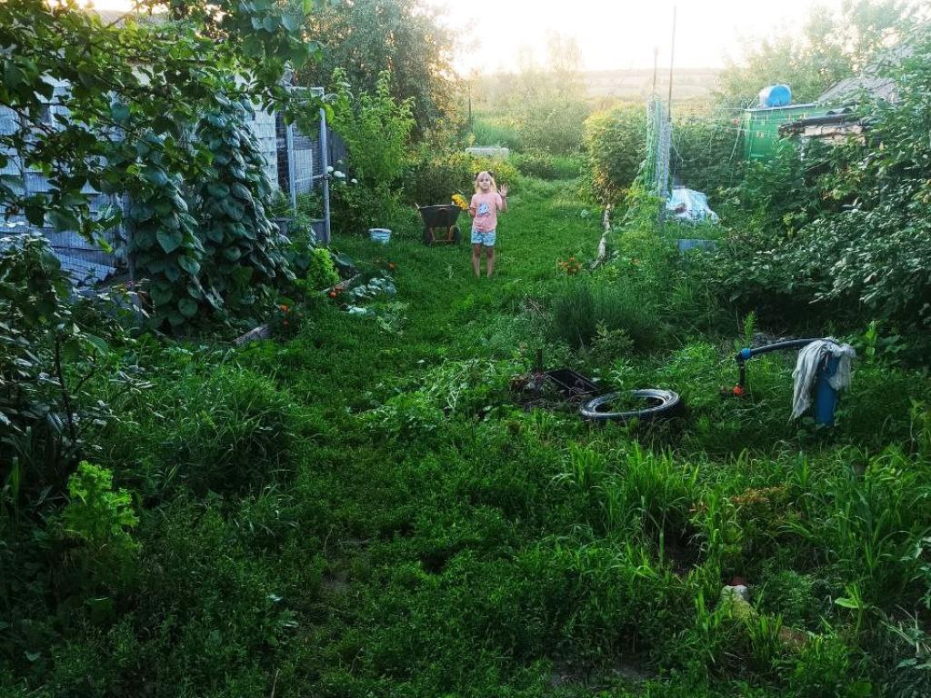 Добрый Дом