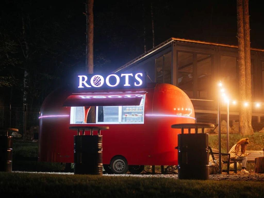 Roots (Рутс)