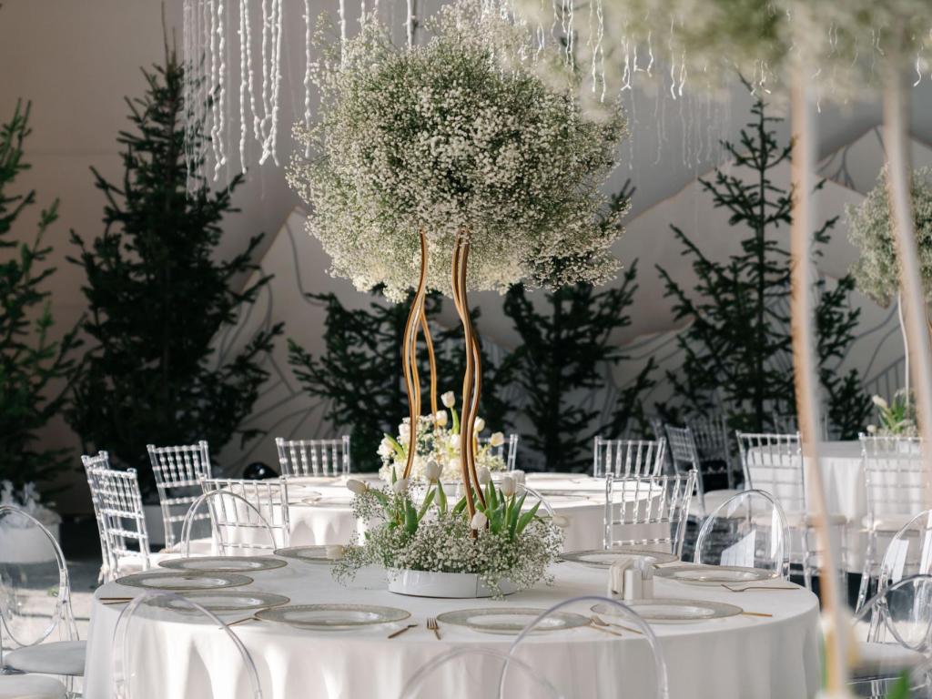 Космос Коллекшн Алтай Резорт (Cosmos Collection Altay Resort)