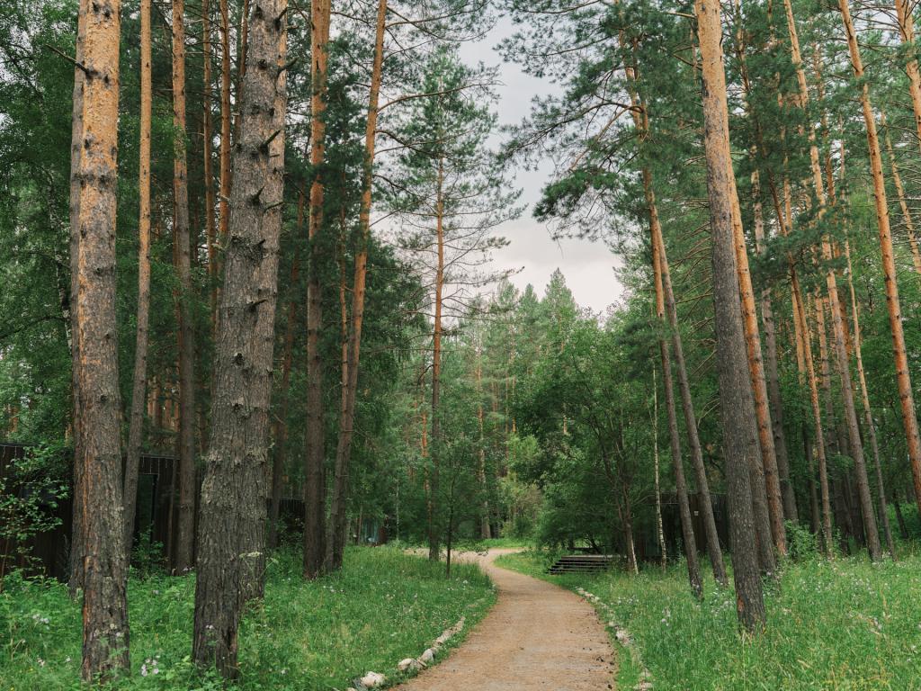 Берель Парк-Отель