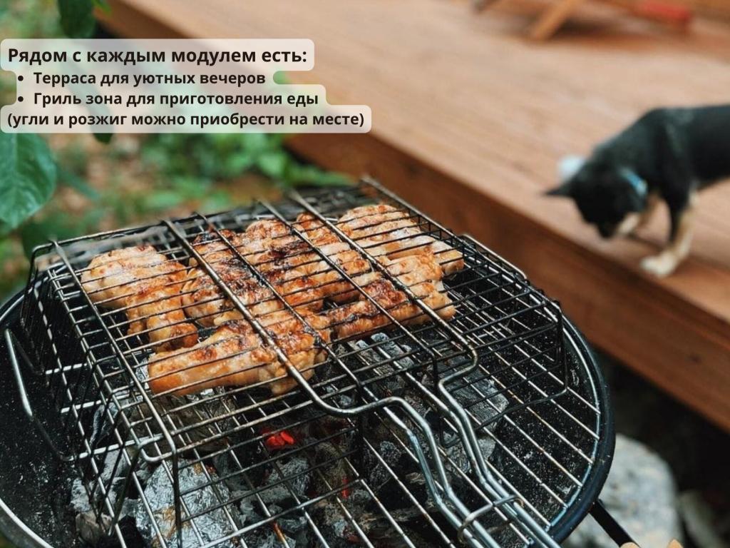 Глэмпинг NewCamp Эссойла (Ньюкэмп Эссойла)