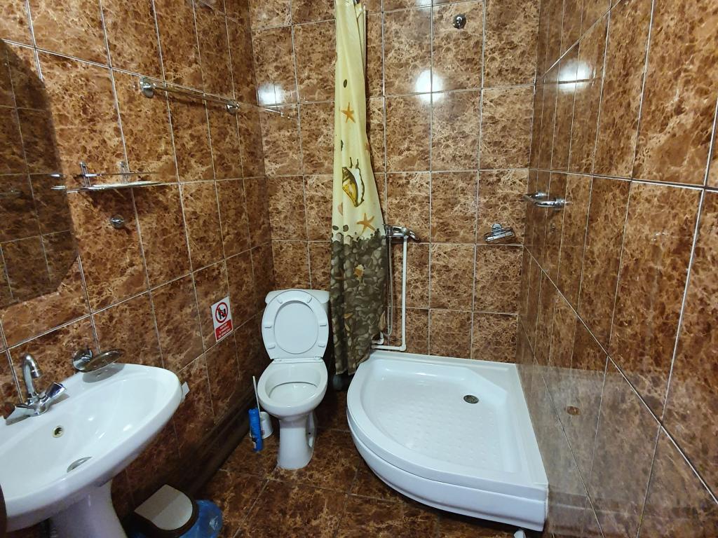 Сова