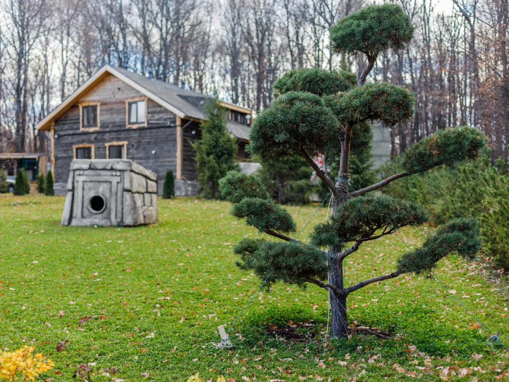 Odin House (Один Хаус)