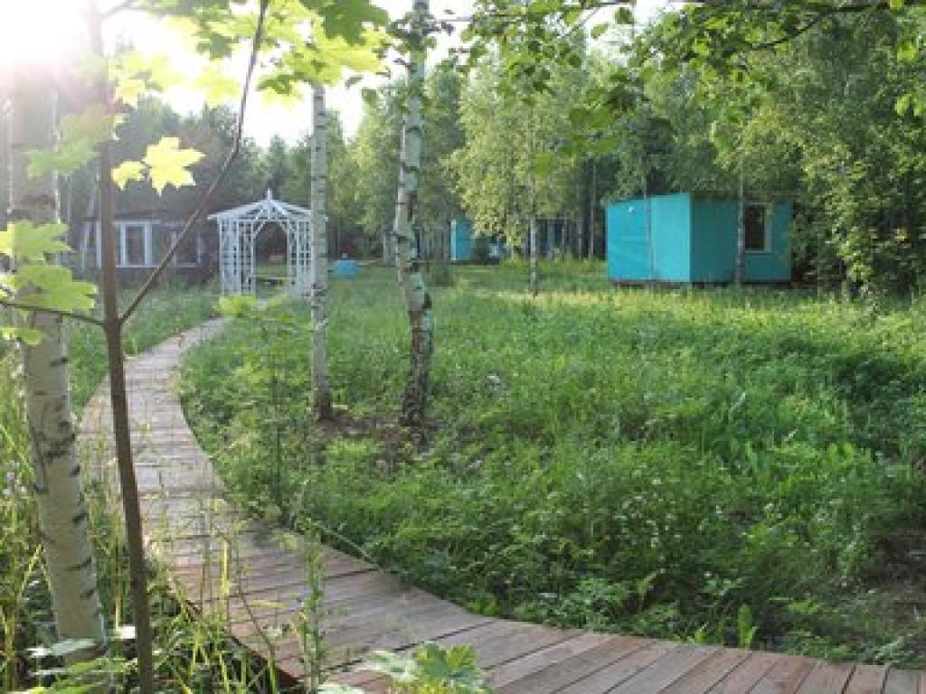 Лесной сон