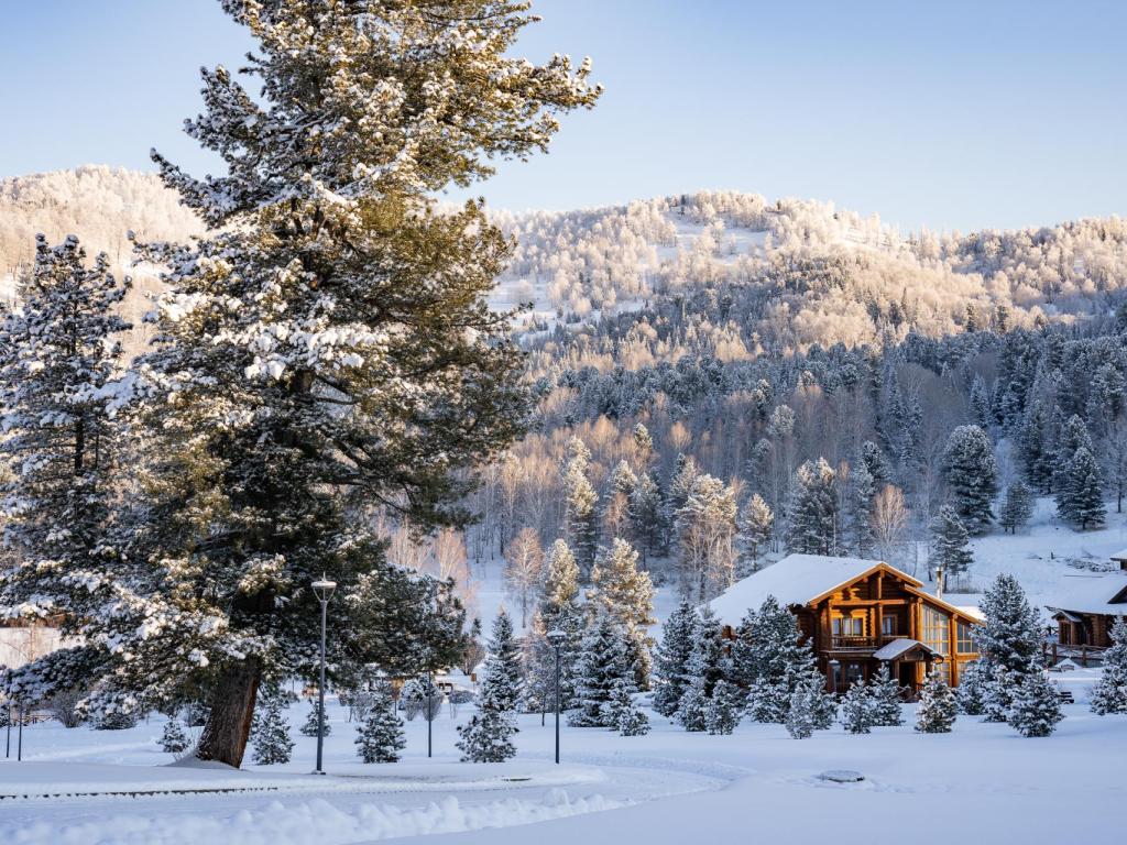 Космос Коллекшн Алтай Резорт (Cosmos Collection Altay Resort)