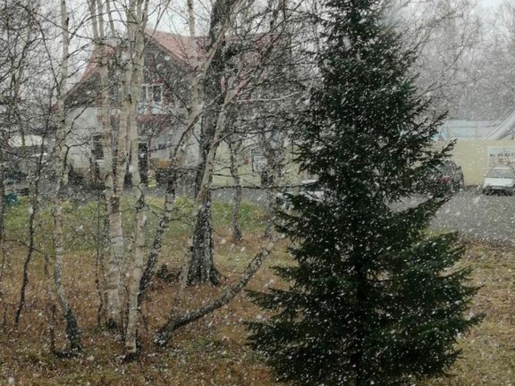 Солнечная