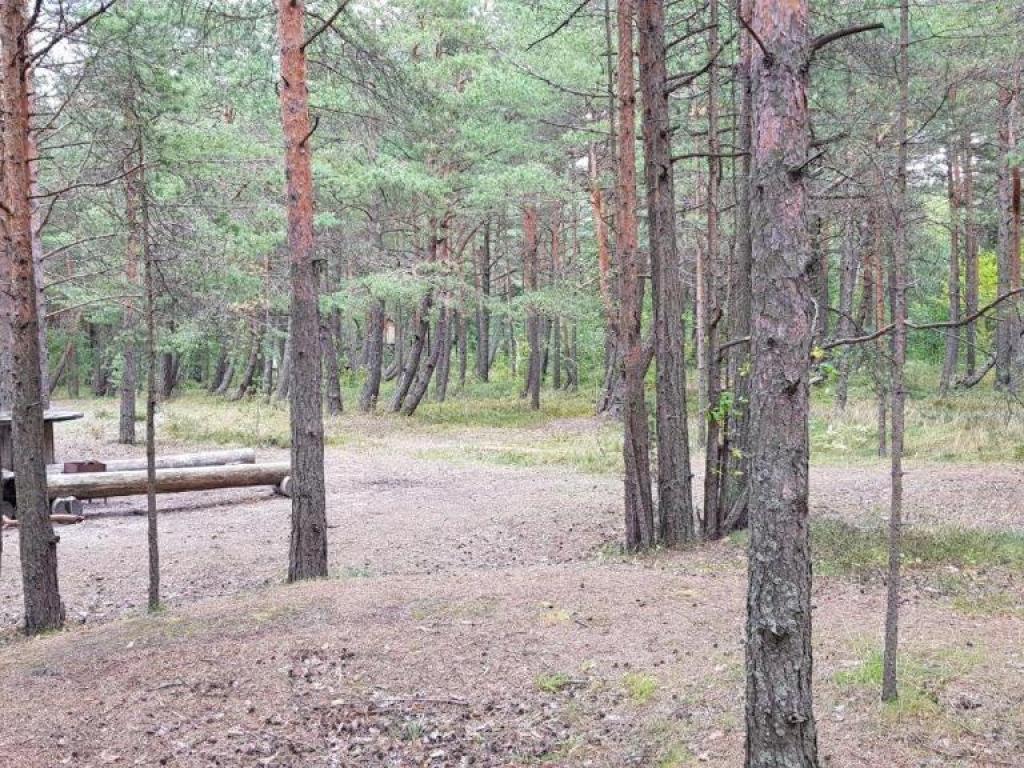 Серф-станция Винд Хантерс (Wind Hunters Station)
