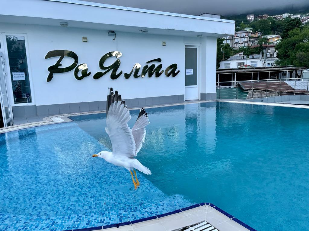 РоЯлта