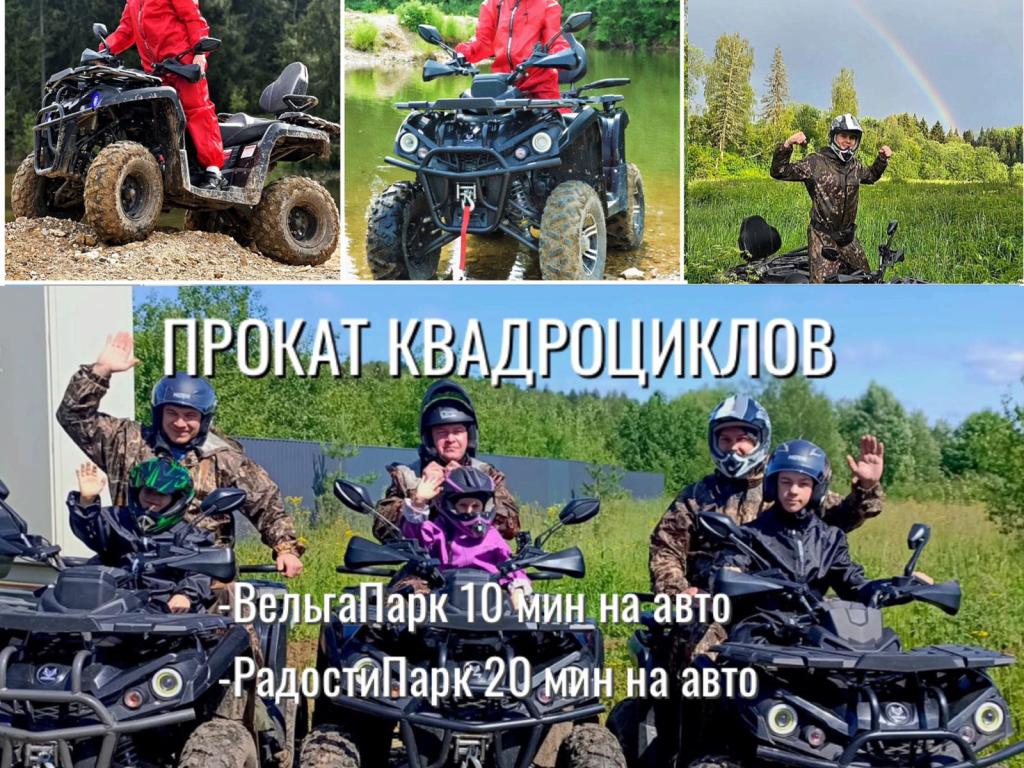 Елки Шале в ДНП Радости Парк 1, 274