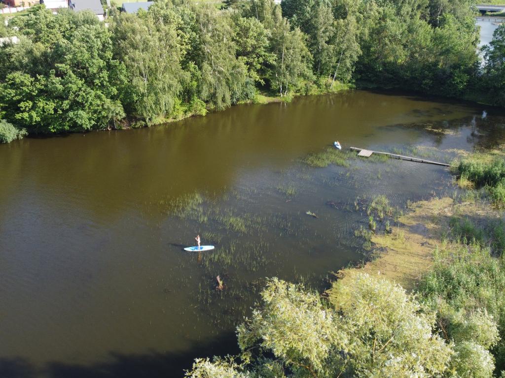 Skandi Белка (Сканди)