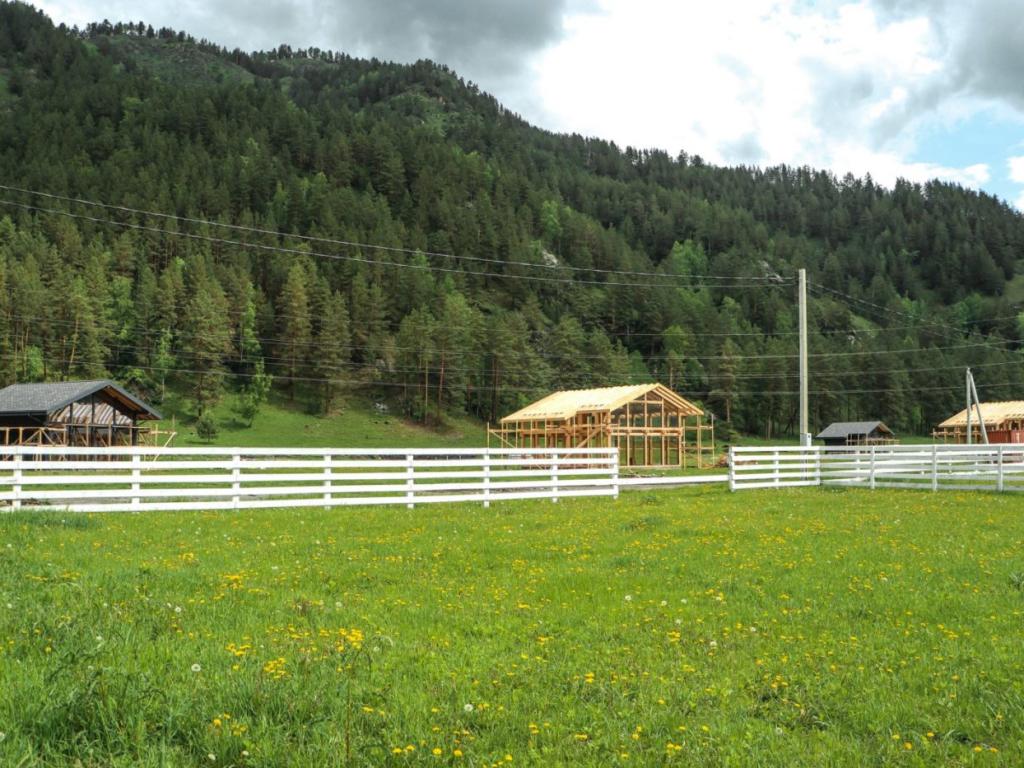 Альпинс residence