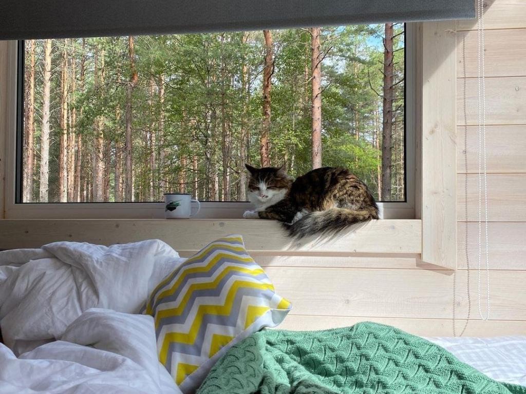 Глэмпинг NewCamp Эссойла (Ньюкэмп Эссойла)