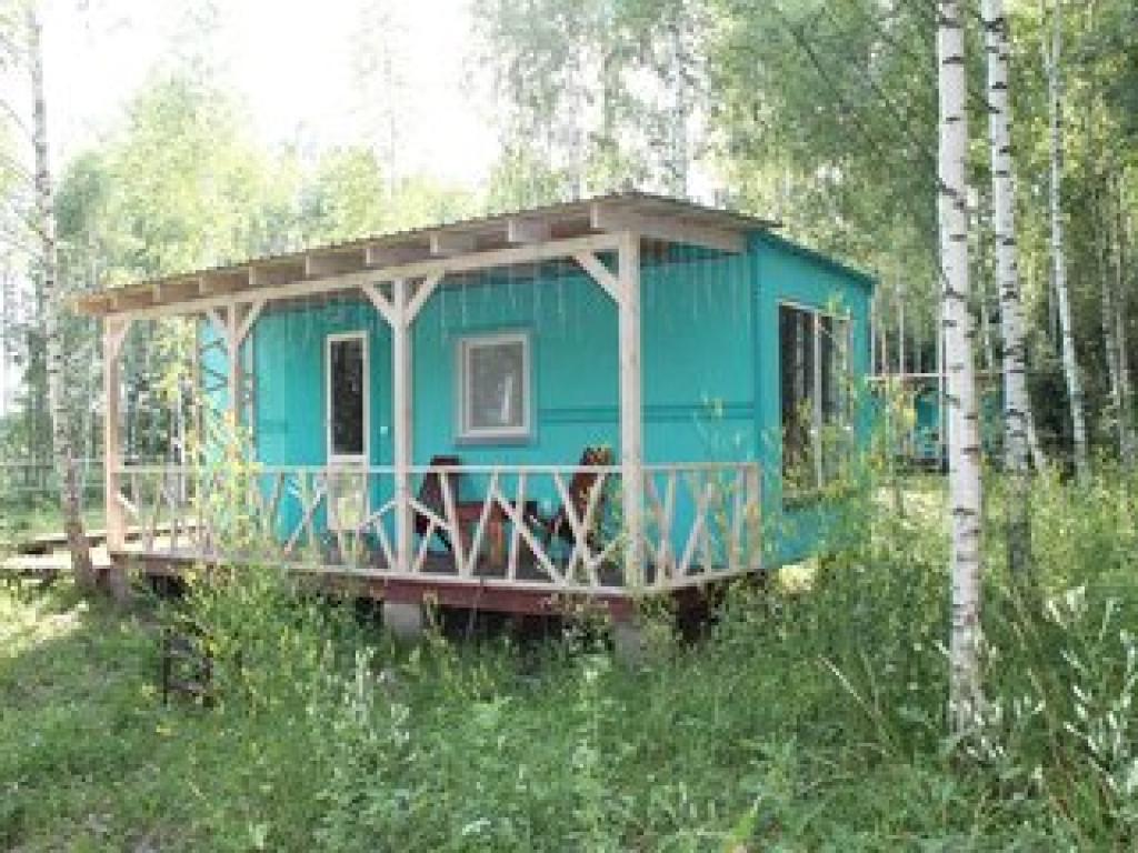 Лесной сон
