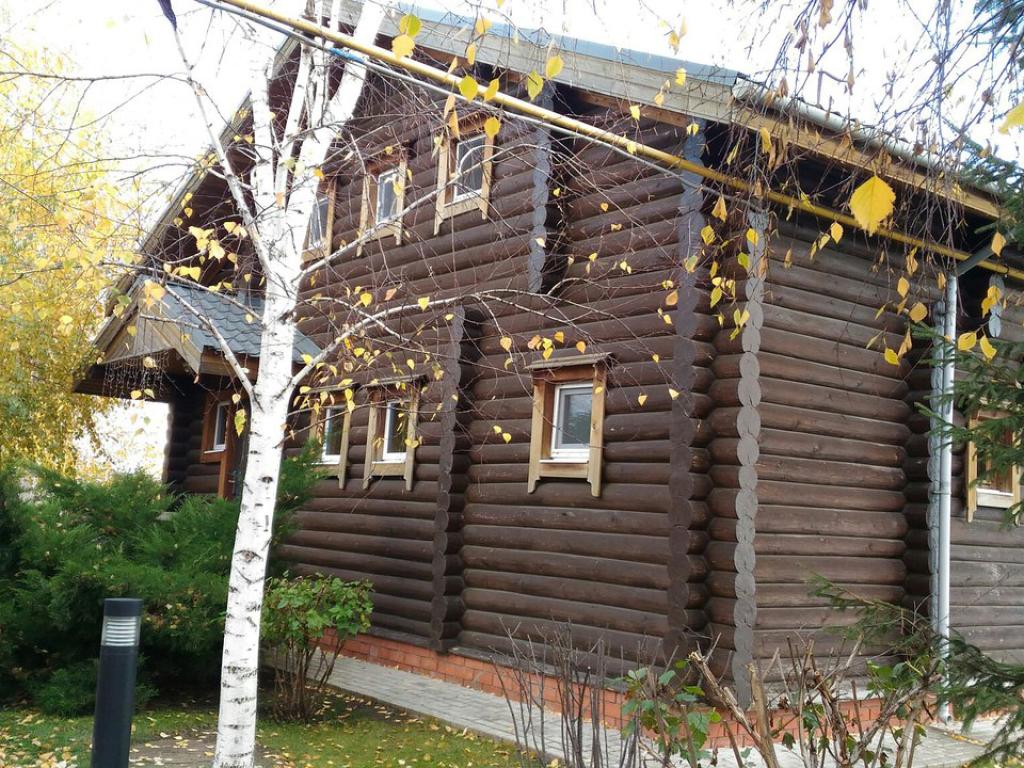 Подсолнух