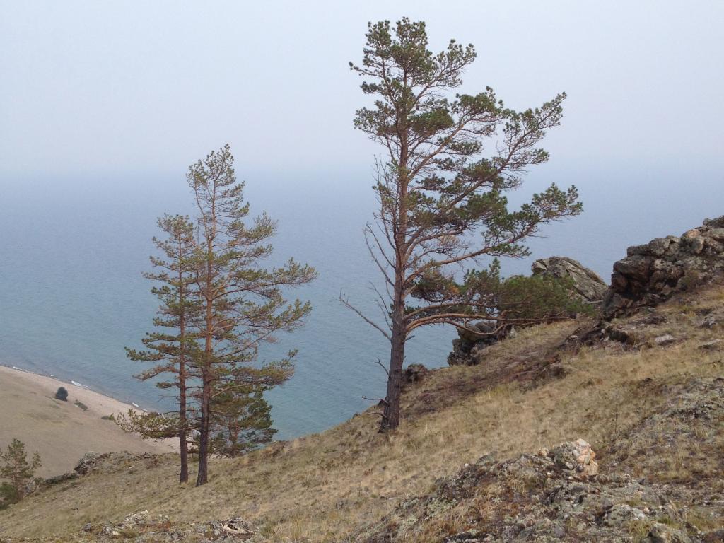 Байкал-кэмп