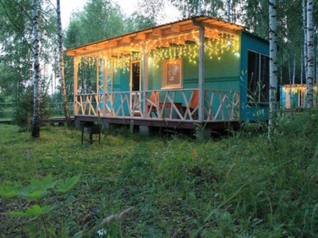 Лесной сон