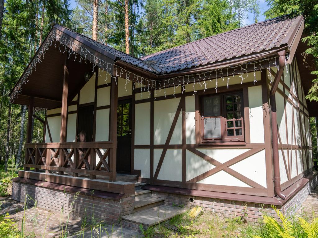 Шишки на Лампушке