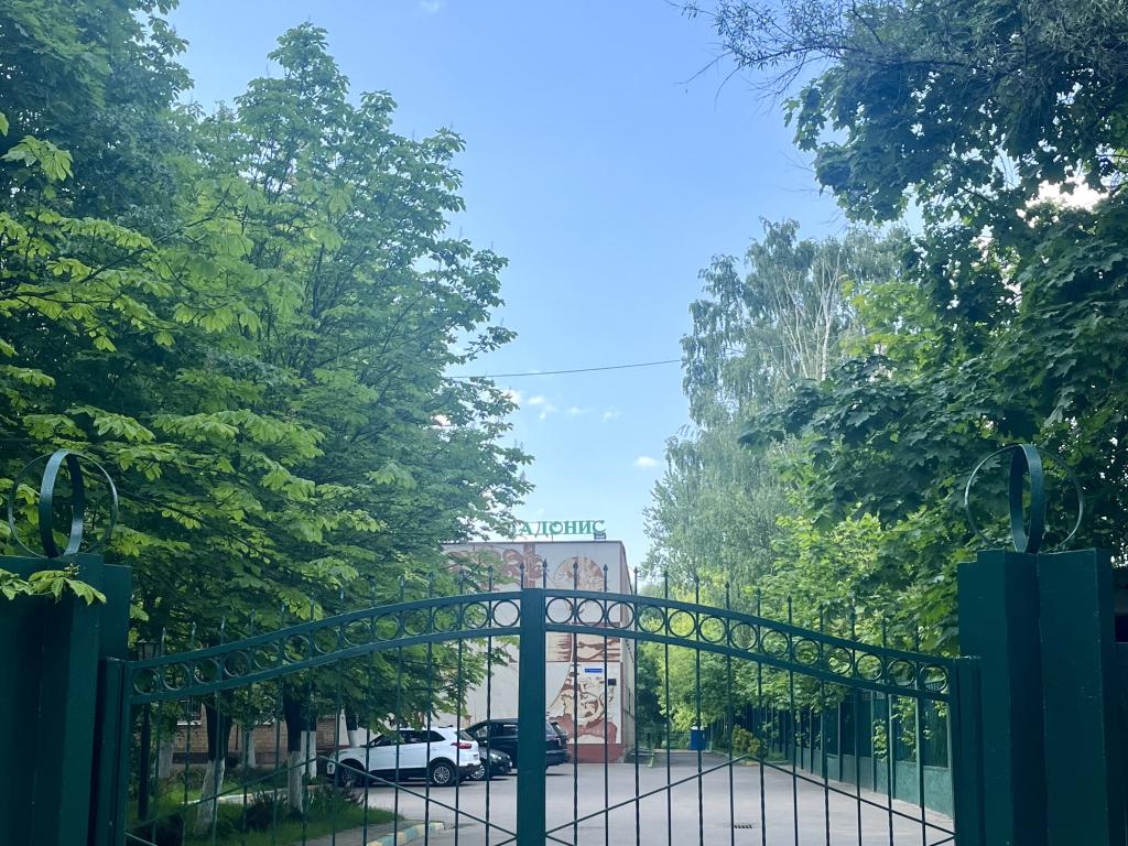 Адонис