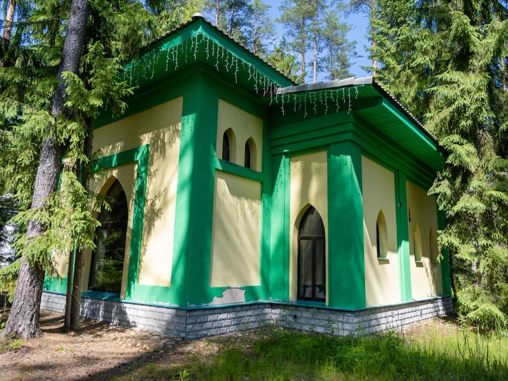 Шишки на Лампушке
