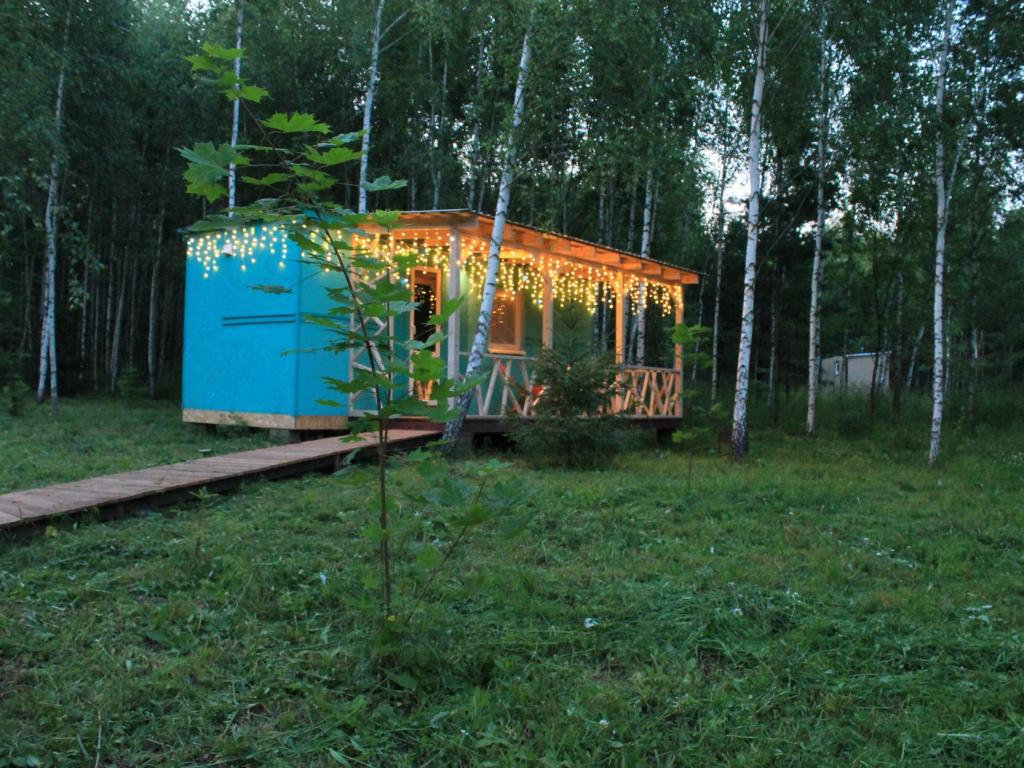 Лесной сон