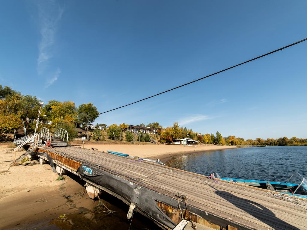 Подсолнух