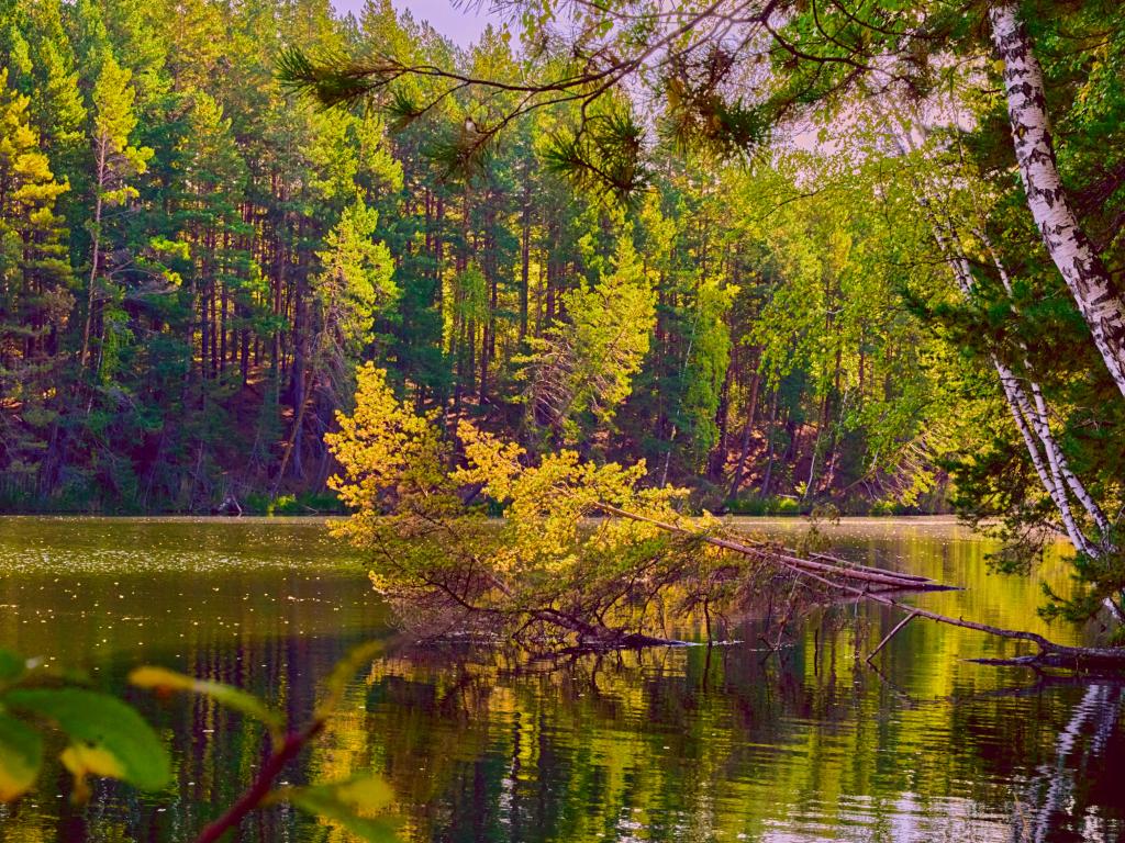 Акватория