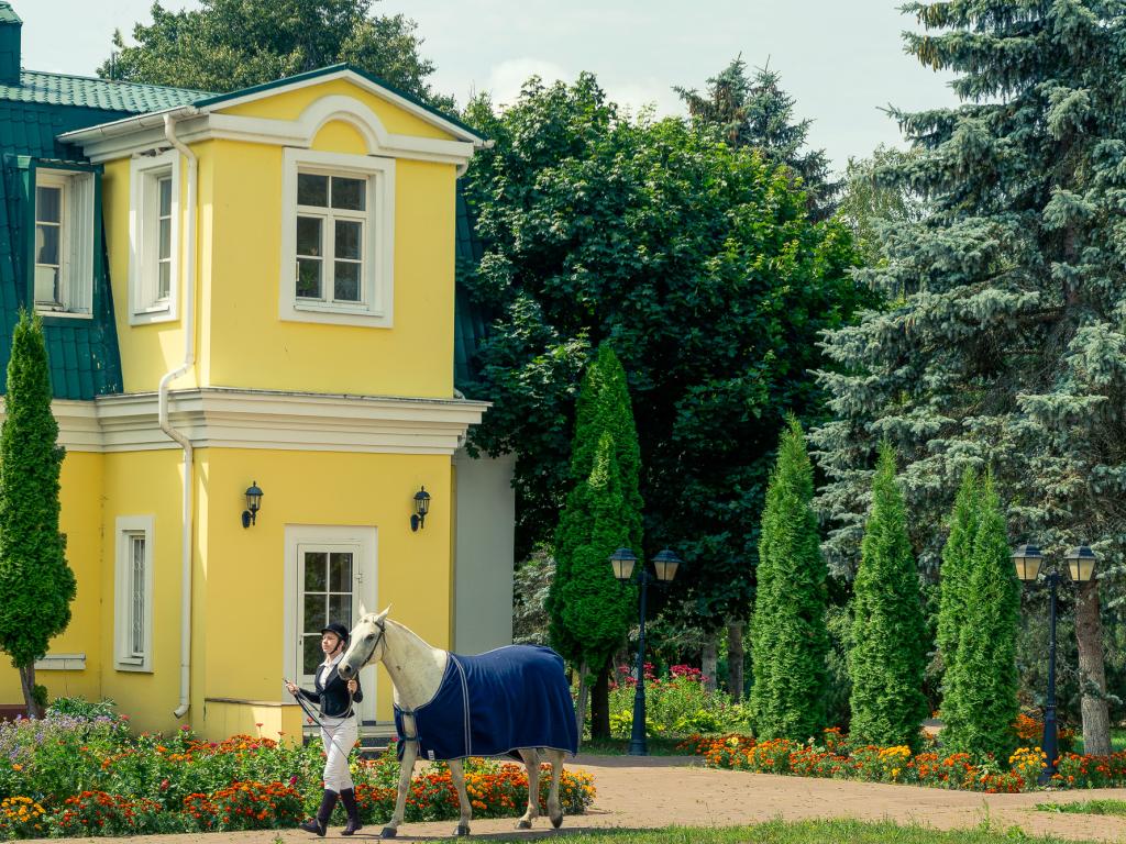 Лесное