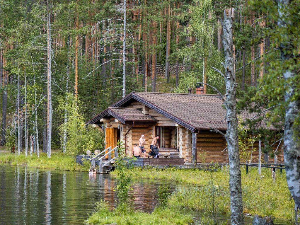 Шишки на Лампушке