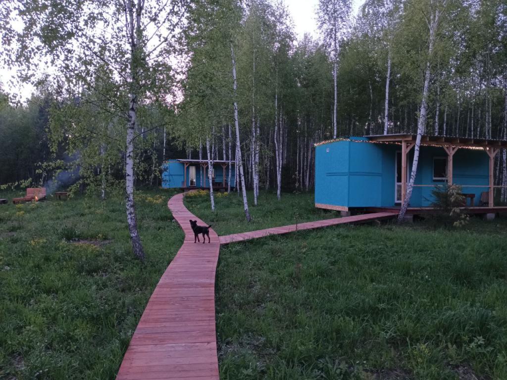 Лесной сон