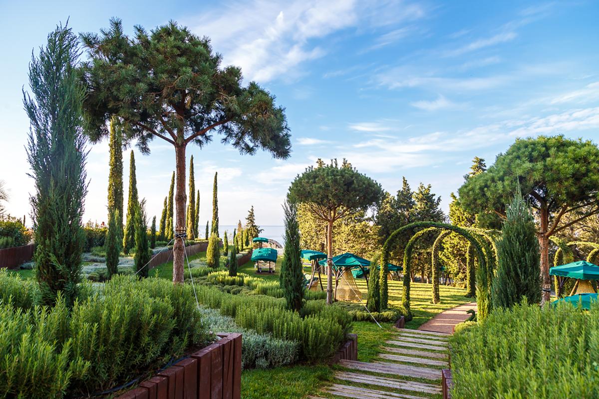 Мрия фото 15