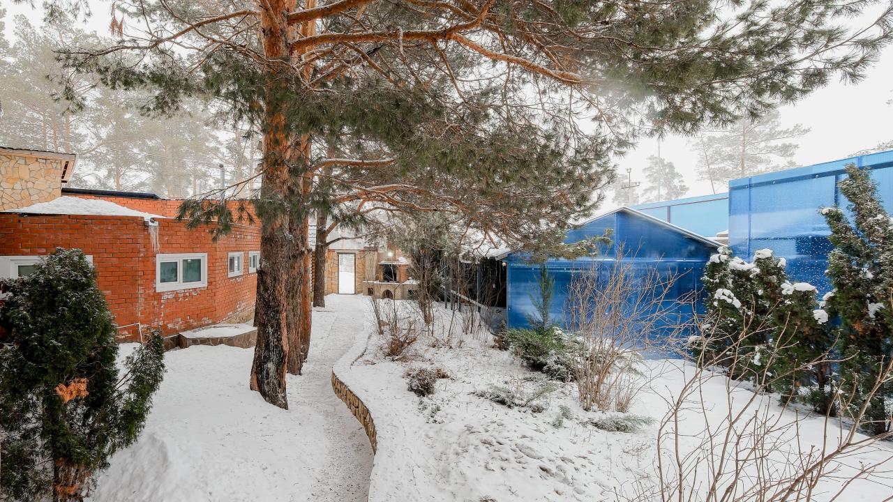 Реальные фото Царский