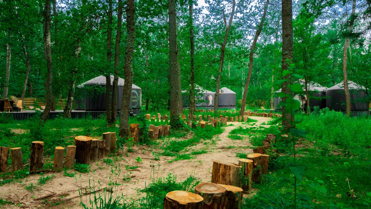 Real photos of Lesnaya baza «Paporotnik»