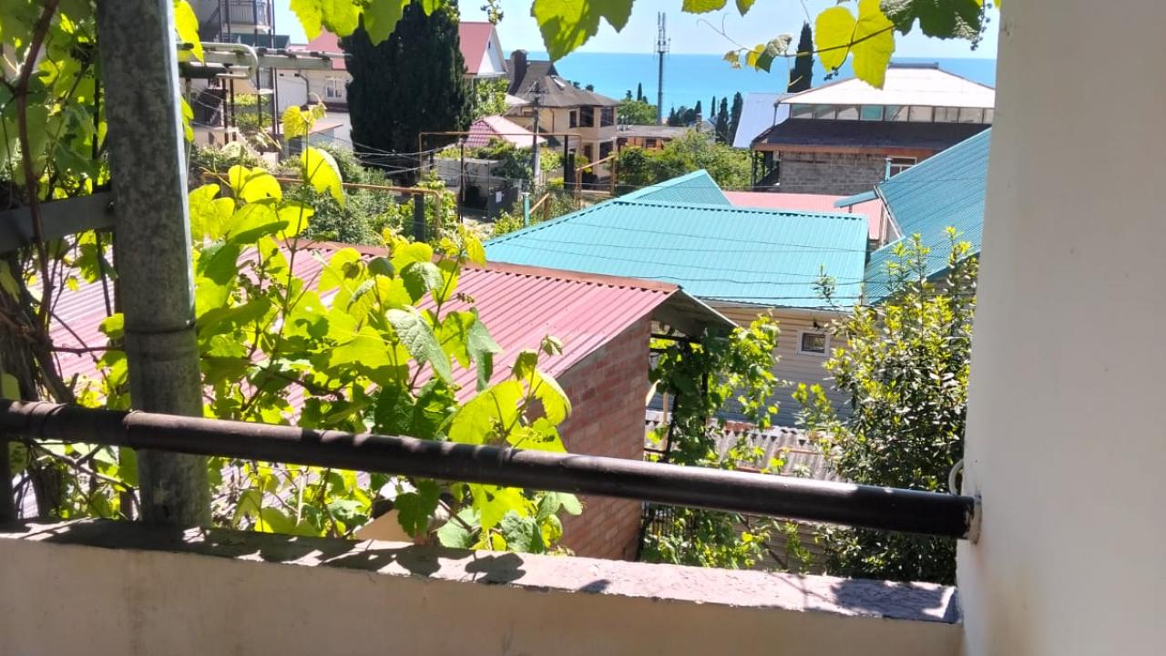 Реальные фото Под пальмой